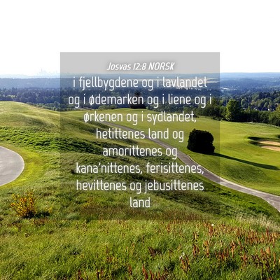 Picture 04 - Josvas 12:8 NORSK - i fjellbygdene og i lavlandet og i ødemarken og - Bible Verse Picture