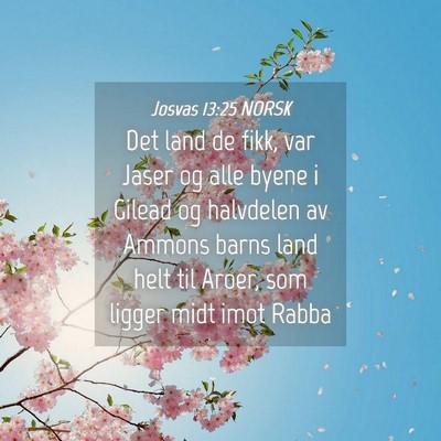 Picture 04 - Josvas 13:25 NORSK - Det land de fikk, var Jaser og alle byene i - Bible Verse Picture