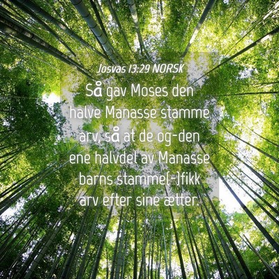 Picture 04 - Josvas 13:29 NORSK - Så gav Moses den halve Manasse stamme arv, så - Bible Verse Picture