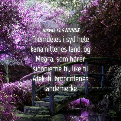 Picture 04 - Josvas 13:4 NORSK - Fremdeles i syd hele kana'nittenes land, og - Bible Verse Picture