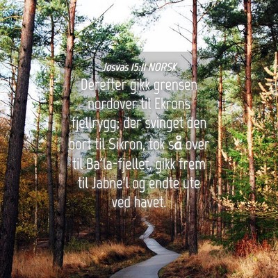 Picture 04 - Josvas 15:11 NORSK - Derefter gikk grensen nordover til Ekrons - Bible Verse Picture