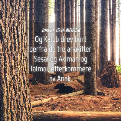 Picture 04 - Josvas 15:14 NORSK - Og Kaleb drev bort derfra de tre anakitter Sesai - Bible Verse Picture