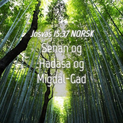 Picture 04 - Josvas 15:37 NORSK - Senan og Hadasa og - Bible Verse Picture