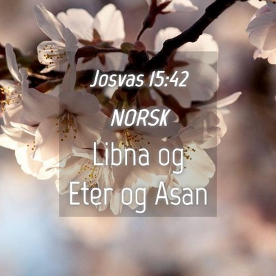 Picture 04 - Josvas 15:42 NORSK - Libna og Eter og - Bible Verse Picture