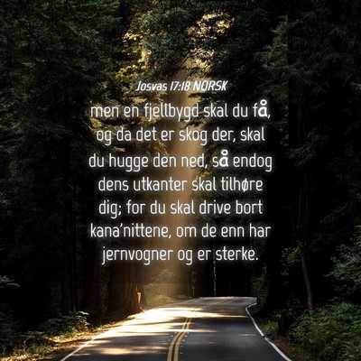 Picture 04 - Josvas 17:18 NORSK - men en fjellbygd skal du få, og da det er skog - Bible Verse Picture