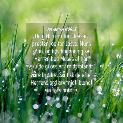 Picture 04 - Josvas 17:4 NORSK - De gikk frem for Eleasar, presten, og for Josva, - Bible Verse Picture
