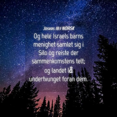 Picture 04 - Josvas 18:1 NORSK - Og hele Israels barns menighet samlet sig i Silo - Bible Verse Picture
