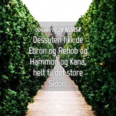 Picture 04 - Josvas 19:28 NORSK - Dessuten fikk de Ebron og Rehob og Hammon og - Bible Verse Picture