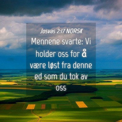 Picture 04 - Josvas 2:17 NORSK - Mennene svarte: Vi holder oss for å være løst - Bible Verse Picture