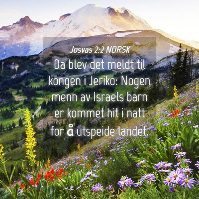 Picture 04 - Josvas 2:2 NORSK - Da blev det meldt til kongen i Jeriko: Nogen menn - Bible Verse Picture