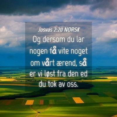Picture 04 - Josvas 2:20 NORSK - Og dersom du lar nogen få vite noget om vårt - Bible Verse Picture