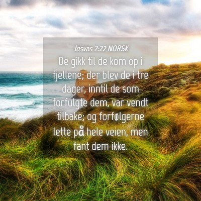 Picture 04 - Josvas 2:22 NORSK - De gikk til de kom op i fjellene; der blev de i - Bible Verse Picture