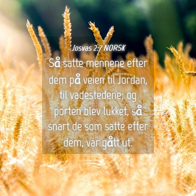 Picture 04 - Josvas 2:7 NORSK - Så satte mennene efter dem på veien til Jordan, - Bible Verse Picture