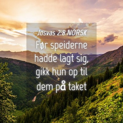 Picture 04 - Josvas 2:8 NORSK - Før speiderne hadde lagt sig, gikk hun op til - Bible Verse Picture