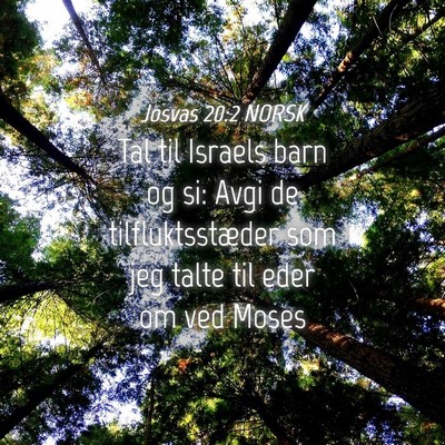 Picture 04 - Josvas 20:2 NORSK - Tal til Israels barn og si: Avgi de - Bible Verse Picture