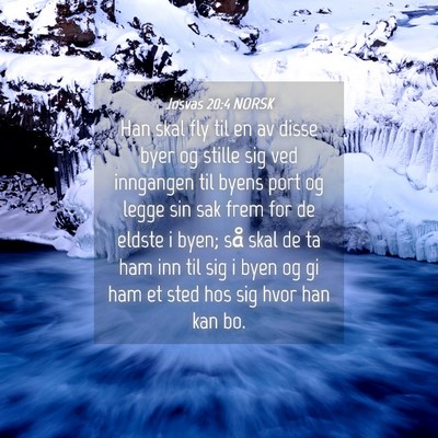 Picture 04 - Josvas 20:4 NORSK - Han skal fly til en av disse byer og stille sig - Bible Verse Picture