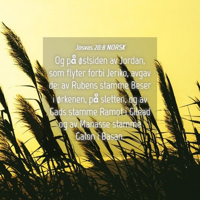 Picture 04 - Josvas 20:8 NORSK - Og på østsiden av Jordan, som flyter forbi - Bible Verse Picture