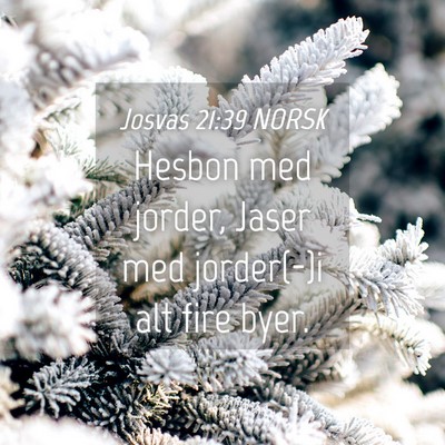 Picture 04 - Josvas 21:39 NORSK - Hesbon med jorder, Jaser med jorder(-)i alt fire - Bible Verse Picture