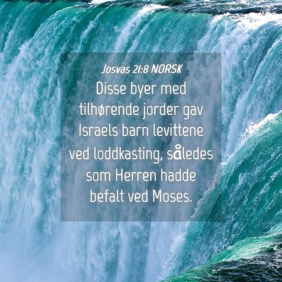 Picture 04 - Josvas 21:8 NORSK - Disse byer med tilhørende jorder gav Israels - Bible Verse Picture