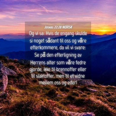 Picture 04 - Josvas 22:28 NORSK - Og vi sa: Hvis de engang skulde si noget sådant - Bible Verse Picture