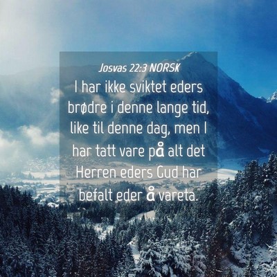 Picture 04 - Josvas 22:3 NORSK - I har ikke sviktet eders brødre i denne lange - Bible Verse Picture
