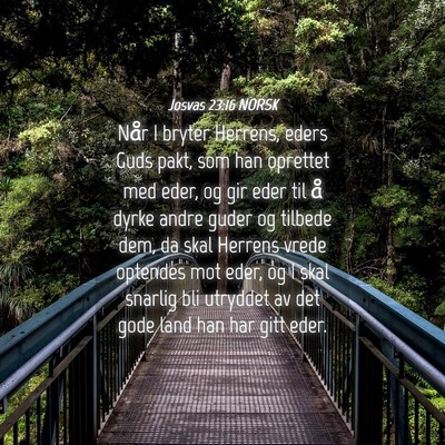 Picture 04 - Josvas 23:16 NORSK - Når I bryter Herrens, eders Guds pakt, som han - Bible Verse Picture