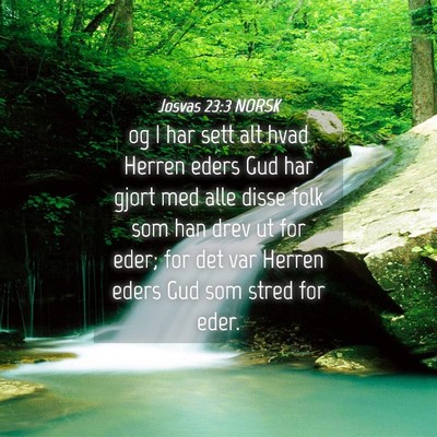 Picture 04 - Josvas 23:3 NORSK - og I har sett alt hvad Herren eders Gud har gjort - Bible Verse Picture
