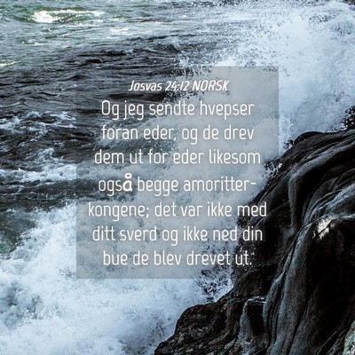 Picture 04 - Josvas 24:12 NORSK - Og jeg sendte hvepser foran eder, og de drev dem - Bible Verse Picture
