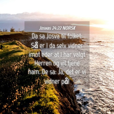 Picture 04 - Josvas 24:22 NORSK - Da sa Josva til folket: Så er I da selv vidner - Bible Verse Picture