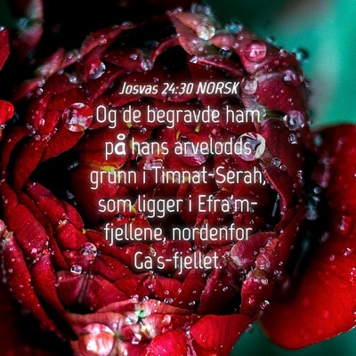 Picture 04 - Josvas 24:30 NORSK - Og de begravde ham på hans arvelodds grunn i - Bible Verse Picture