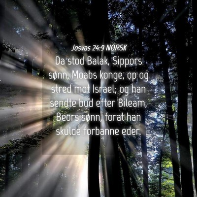 Picture 04 - Josvas 24:9 NORSK - Da stod Balak, Sippors sønn, Moabs konge, op og - Bible Verse Picture
