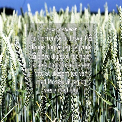 Picture 04 - Josvas 3:7 NORSK - Og Herren sa til Josva: På denne dag vil jeg - Bible Verse Picture