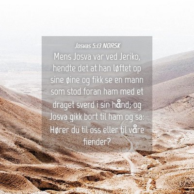 Picture 04 - Josvas 5:13 NORSK - Mens Josva var ved Jeriko, hendte det at han - Bible Verse Picture