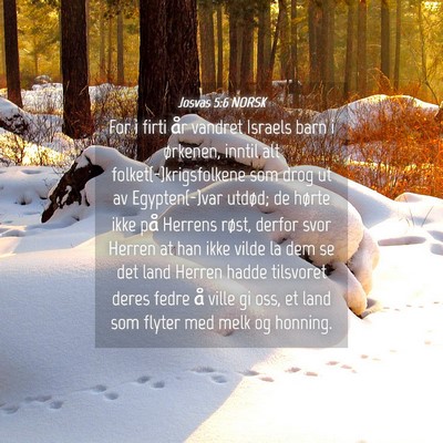 Picture 04 - Josvas 5:6 NORSK - For i firti år vandret Israels barn i ørkenen, - Bible Verse Picture