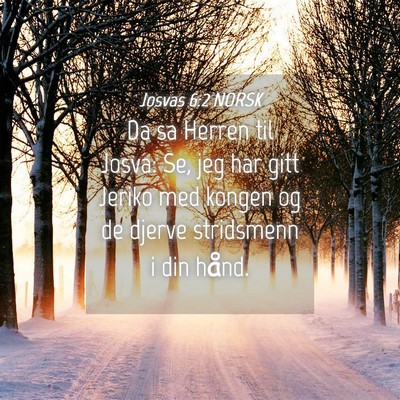 Picture 04 - Josvas 6:2 NORSK - Da sa Herren til Josva: Se, jeg har gitt Jeriko - Bible Verse Picture