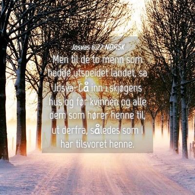 Picture 04 - Josvas 6:22 NORSK - Men til de to menn som hadde utspeidet landet, sa - Bible Verse Picture