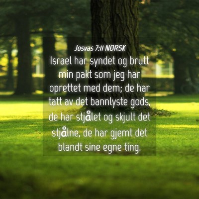 Picture 04 - Josvas 7:11 NORSK - Israel har syndet og brutt min pakt som jeg har - Bible Verse Picture