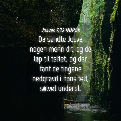 Picture 04 - Josvas 7:22 NORSK - Da sendte Josva nogen menn dit, og de løp til - Bible Verse Picture