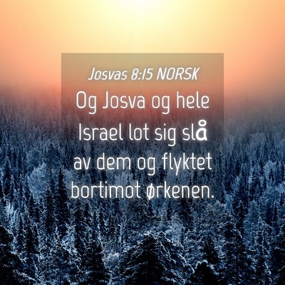 Picture 04 - Josvas 8:15 NORSK - Og Josva og hele Israel lot sig slå av dem og - Bible Verse Picture