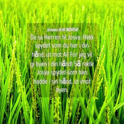 Picture 04 - Josvas 8:18 NORSK - Da sa Herren til Josva: Rekk spydet som du har i - Bible Verse Picture