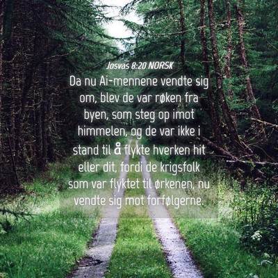 Picture 04 - Josvas 8:20 NORSK - Da nu Ai-mennene vendte sig om, blev de var - Bible Verse Picture