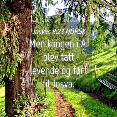 Picture 04 - Josvas 8:23 NORSK - Men kongen i Ai blev tatt levende og ført til - Bible Verse Picture