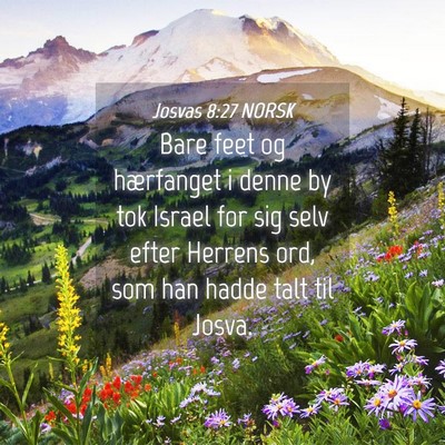 Picture 04 - Josvas 8:27 NORSK - Bare feet og hærfanget i denne by tok Israel for - Bible Verse Picture