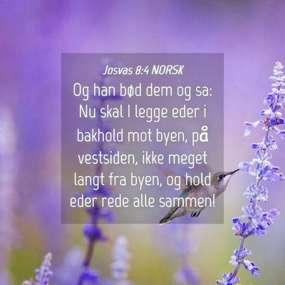 Picture 04 - Josvas 8:4 NORSK - Og han bød dem og sa: Nu skal I legge eder i - Bible Verse Picture