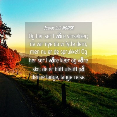 Picture 04 - Josvas 9:13 NORSK - Og her ser I våre vinsekker; de var nye da vi - Bible Verse Picture