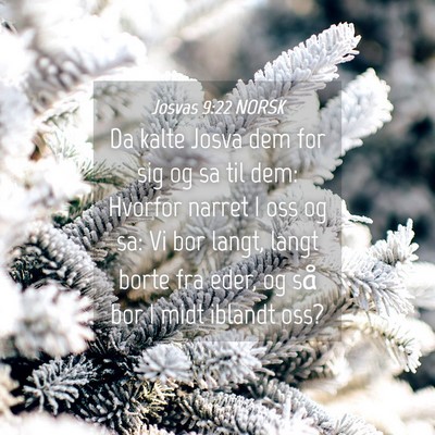Picture 04 - Josvas 9:22 NORSK - Da kalte Josva dem for sig og sa til dem: Hvorfor - Bible Verse Picture