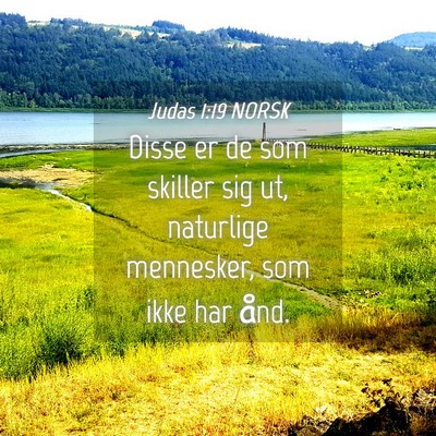 Picture 04 - Judas 1:19 NORSK - Disse er de som skiller sig ut, naturlige - Bible Verse Picture
