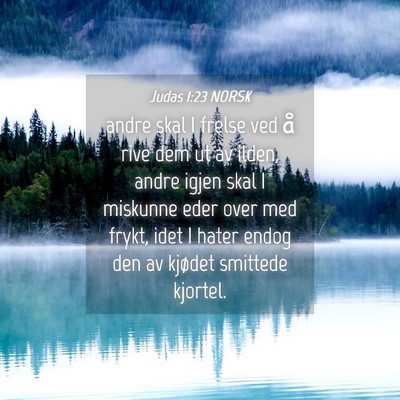Picture 04 - Judas 1:23 NORSK - andre skal I frelse ved å rive dem ut av ilden, - Bible Verse Picture