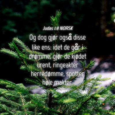 Picture 04 - Judas 1:8 NORSK - Og dog gjør også disse like ens: idet de går i - Bible Verse Picture