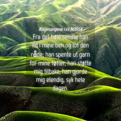 Picture 04 - Klagesangene 1:13 NORSK - Fra det høie sendte han ild i mine ben og lot - Bible Verse Picture